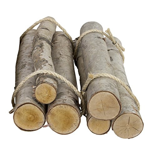 Walnut Hollow Value Pack 6 Pieces Rustic Birch Logs for Home Decorating and Weddings