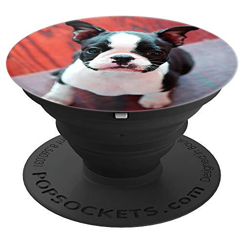 Cute Boston Terrier Dog Photo Design Puppy PopSockets Grip and Stand for Phones and Tablets Cute Boston Terrier Dog Photo Design Puppy PopSockets Grip and Stand for Phones and Tablets