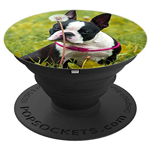 Cute Boston Terrier Dog Photo Design On Grass PopSockets Grip and Stand for Phones and Tablets Cute Boston Terrier Dog Photo Design On Grass PopSockets Grip and Stand for Phones and Tablets