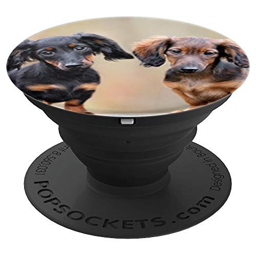 Cute Dachshund Photo Design Weiner Dogs Doxie Lover Gift PopSockets Grip and Stand for Phones and Tablets