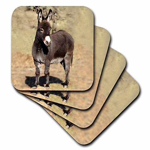 3dRose cst_1236_2 Miniature Donkey Soft Coasters, Set of 8