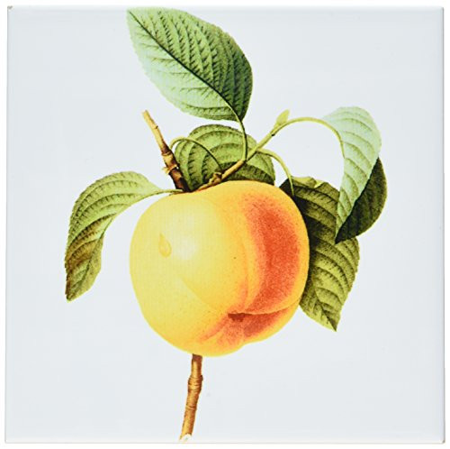 3dRose ct_106851_2 Redoute Vintage Watercolor Fruit Calville Apple Malus Sp-Ceramic Tile, 6-Inch 3dRose ct_106851_2 Redoute Vintage Watercolor Fruit Calville Apple Malus Sp-Ceramic Tile, 6-Inch