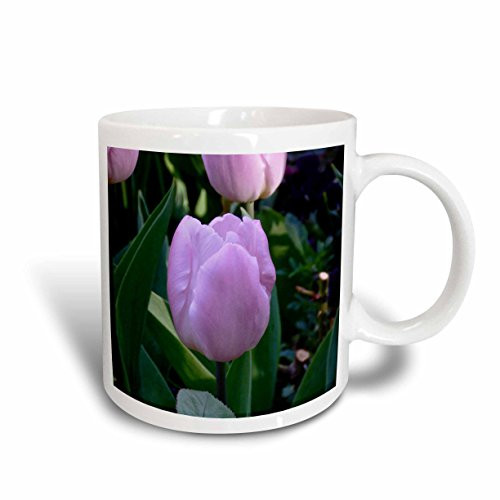 3dRose Purple Tulip Flower Ceramic Mug  11 oz  White