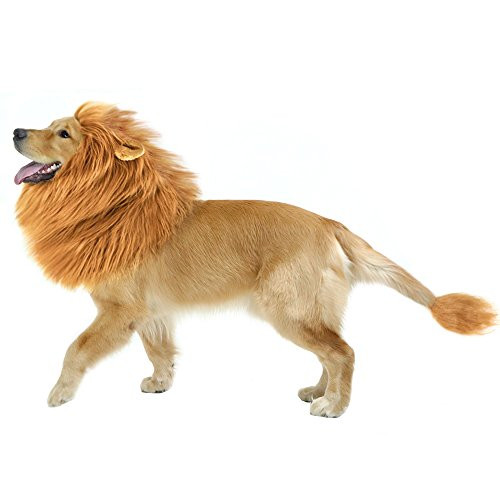 CPPSLEE Lion Mane for Dog Halloween Costumes   Realistic Lion Wig for Medium to Large Sized Dogs   Dog Costumes With Tail  Brown