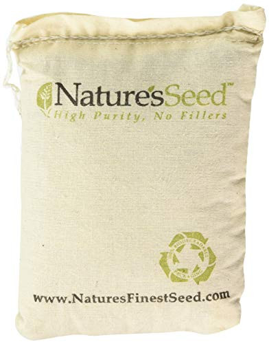 Nature s Seed Pacific Northwest Honey Bee Pasture Blend  1000 sq  ft