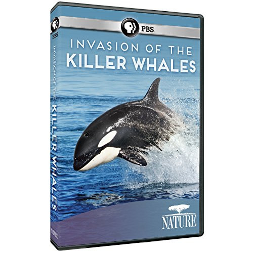 Nature Invasion of the Killer Whales Nature Invasion of the Killer Whales