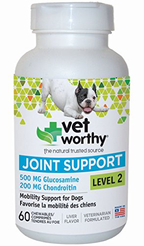 Vet Worthy Joint Support Level 2 Liver Flavored Chewables for Dogs  60 Count
