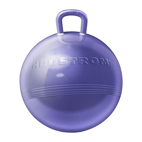 Hedstrom 15  Metallic Purple Fun Hopper