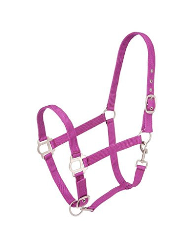 Tough 1 Nylon Halter with Satin Hardware  Purple  Horse