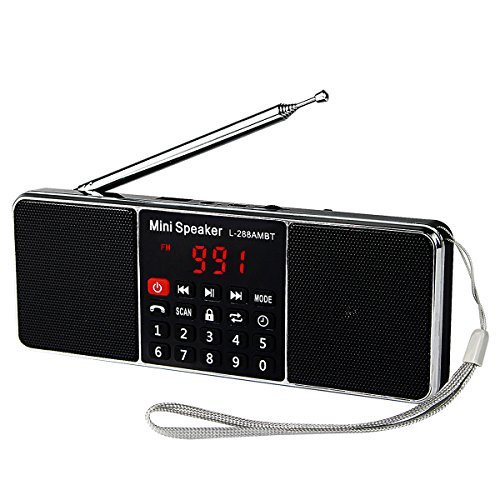 TIVDIO L-288 Portable AM FM Stereo Radio with Wireless MP3 Player Speaker AUX Input Support TF Card Sleep Timer (Black)