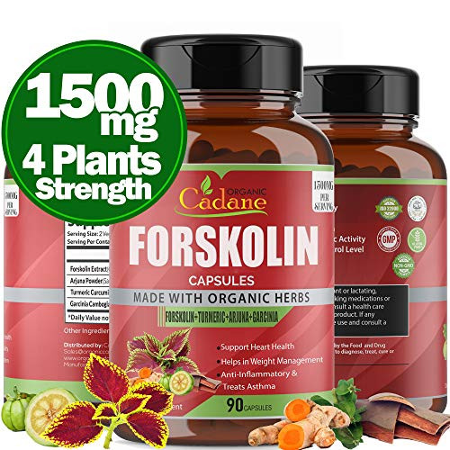 Organic Forskolin Extract Capsules 1500MG with Turmeric Curcumin  Arjuna  Garcinia Cambogia Powder Maximum Strength India Supplement Support Nourishing Diet Coleus Forskohlii Energy Booster  90Caps