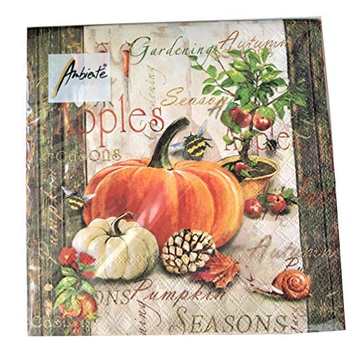 20 ct Orange Pumpkin Napkins   Fall Napkins   Decoupage Napkins   Fall Paper Napkins   Decorative Paper Napkins for Decoupage   Thanksgiving Napkins   Fall Paper Dinner Napkins