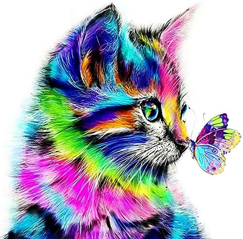 Paint by Numbers for Adults Beginner on Canvas  DIY Oil Painting for Adults Kids Paint by Number  16x20inch  Cat Sniff The Butterfly