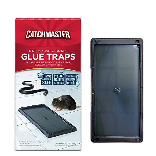 Catchmaster Baited Rat  Mouse and Snake Glue Traps Professional Strength   6 Glue Trays