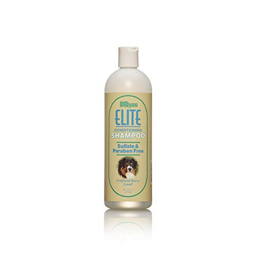 EQyss Elite Conditioning Shampoo  16 fl oz