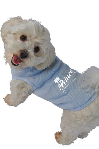 Ruff Ruff and Meow Dog Tank Top  Prince  Blue  Extra Large