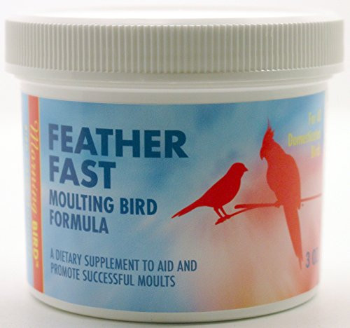 Morning Bird Feather Fast Moulting Bird Formula  3 oz