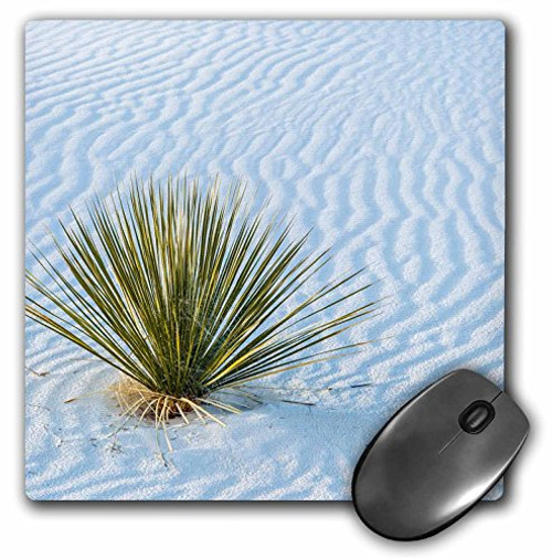 3dRose Mouse Pad New Mexico White Sands National Monument Yucca in Sand Ripples 8 x 8 mp 259736 1 3dRose Mouse Pad New Mexico White Sands National Monument Yucca in Sand Ripples 8 x 8 mp 259736 1