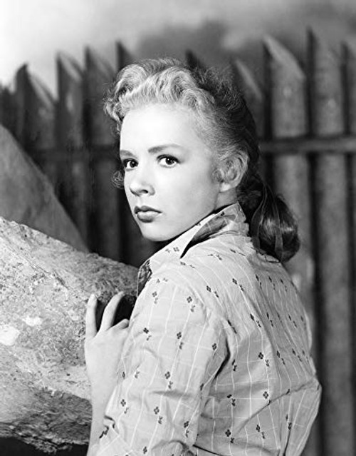 Posterazzi Poster Print Collection EVCMBDSMSIEC018 Smoke Signal Portrait  8 x 10