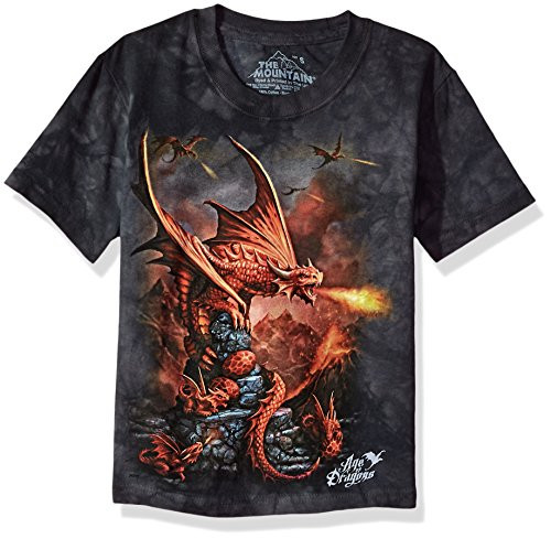 The Mountain Fire Dragon Child T Shirt Grey XL The Mountain Fire Dragon Child T Shirt Grey XL