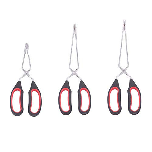 FUNG Food Tongs Barbecue Clip Food Tongs Kitchen Tongs Scissor Tongs BBQ Tongs Mini Barbecue Grill Food Clip Cooking Tongs Set of 3 FUNG Food Tongs Barbecue Clip Food Tongs Kitchen Tongs Scissor Tongs BBQ Tongs Mini Barbecue Grill Food Clip Cooking Tongs Set of 3