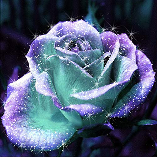 Diamond Painting Kits for Adults   5D Diamond Painting Kit Full Drill  Flower Diamond Art Kits for Home Wall Decor 10x10inch