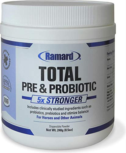 Ramard Total Pre and Probiotic Equine 8 5 oz 8 5OZ