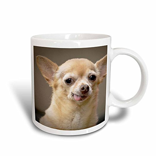 3dRose 92682_3"Toothless Chihuahua Dog, Santa Fe, New Mexico-US32 JMR0502-Julien McRoberts" Magic Transforming Mug 11 oz Black/White 3dRose 92682_3"Toothless Chihuahua Dog, Santa Fe, New Mexico-US32 JMR0502-Julien McRoberts" Magic Transforming Mug 11 oz Black/White