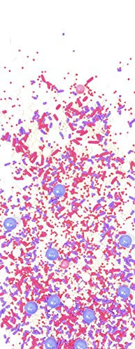 The Gourmet Baking Company Butterfly Kisses Sprinkles  1 Pound Bulk Pink and Purple Cake and Cupcake Decorations  Fancy Princess Sprinkles with Pink and Purple Shimmer and Pink and Purple Sprinkles