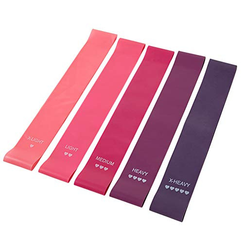 Hennaja Resistance Bands  Skin Friendly Exercise Loop Bands with with 5 Resistance Levels Workout Bands for Legs and Glutes  Arms  Physio  Pilates  Yoga  Strength Carry Bag Included 5 Purple Gradient
