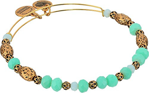 Alex and Ani Valley Bangle Rafaelian Gold One Size