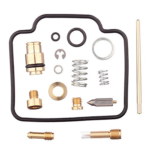 HIFROM Carburetor Carb Rebuild Kit Repair Replacement for Suzuki LTF4WDX LT4WDX King Quad 1991 1992 1993 1994 1995 1996 1997 1998 HIFROM Carburetor Carb Rebuild Kit Repair Replacement for Suzuki LTF4WDX LT4WDX King Quad 1991 1992 1993 1994 1995 1996 1997 1998