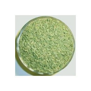 Lucknow Fennel Seeds 14oz