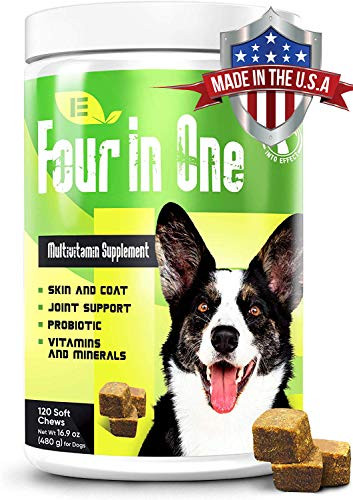 Into Effect 4 in 1 Dog Multivitamin   Essential Dog Vitamins and Supplements for Joints  Immune System and Skin   Coat   Senior Dog Vitamins   120 Soft Chews Multivitamins for Dogs