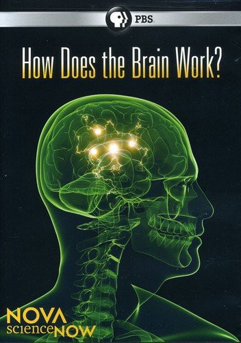 Nova Science Now  How Does the Brain Work