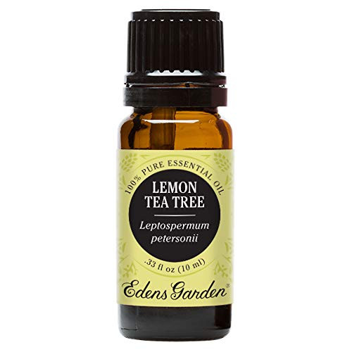 Edens Garden Lemon Tea Tree Essential Oil 100 Pure Therapeutic Grade Inflammation Pain 10 ml Edens Garden Lemon Tea Tree Essential Oil 100 Pure Therapeutic Grade Inflammation Pain 10 ml