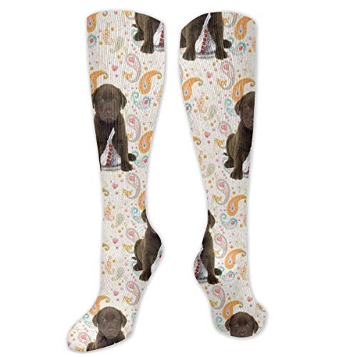 NOT Puppy Chocolate Lab Kisses Compression Socks for Women   Men Funny Novelty Athletic Crew Socks