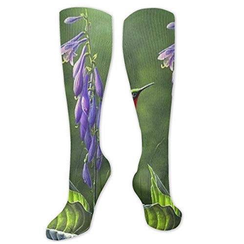 NOT Hummingbird Butterfly Compression Socks for Women   Men Funny Novelty Athletic Crew Socks