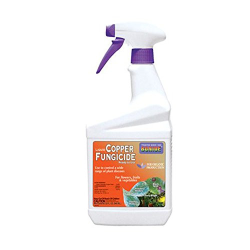 BONIDE PRODUCTS 775 Ready-to-Use Copper Fungicide, 32-Ounce [2-Pack]