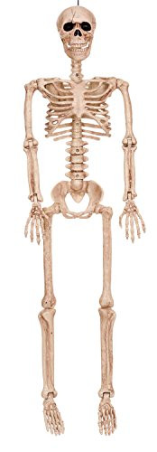 Crazy Bonez Posable Skeleton Decoration, 36"
