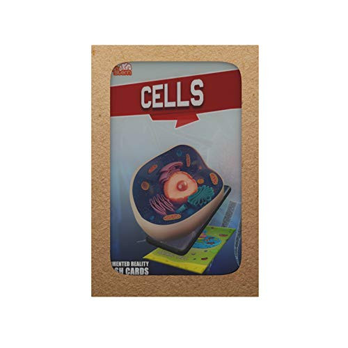 brainSTEM Cells 4D Augmented Reality Flash Cards Interactive STEM Learning for Children Ages 4 Bold Pack 21 Cards brainSTEM Cells 4D Augmented Reality Flash Cards Interactive STEM Learning for Children Ages 4 Bold Pack 21 Cards