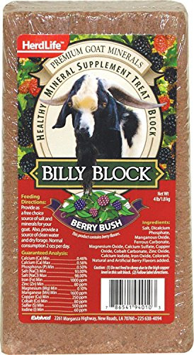 Evolved Habitats 94010 Billy Goat Mineral Supplement Treat Block   Berry Bush   4 lbs