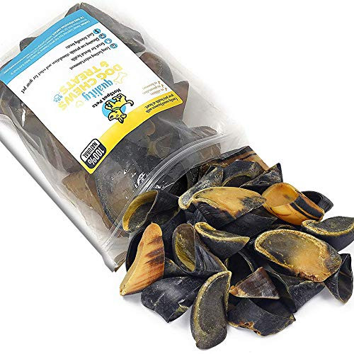 Full Size Cow Hooves for Dogs   All Natural Long Lasting Dog Chews   Made from Grass Fed Cattle   Tasty Treat for Oral Hygiene   Fantastic Alternative for Rawhide and Bully Sticks  10 Pack