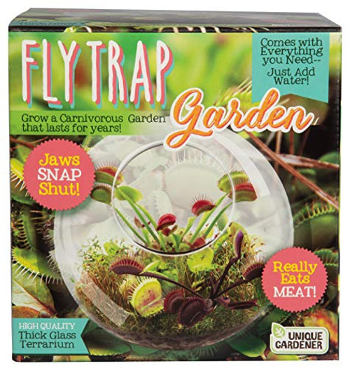 Grow Your Own Fly Trap with Our Terrarium Kit Fun and Easy to Grow Plant A Carnivorous Garden That Will Last for Years Watch Jaws Snap Shut Grow Your Own Fly Trap with Our Terrarium Kit Fun and Easy to Grow Plant A Carnivorous Garden That Will Last for Years Watch Jaws Snap Shut