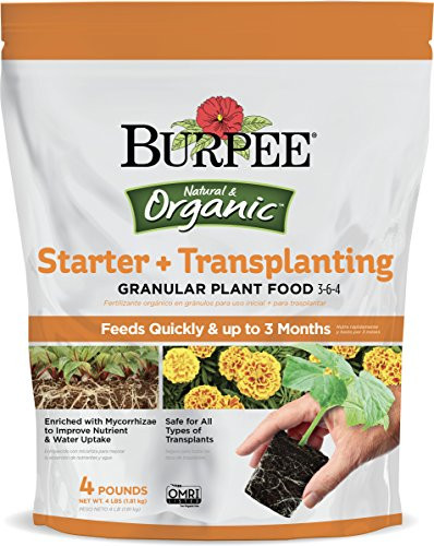 Burpee Organic Starter and Transplanting Granular Plant Food  4 lb