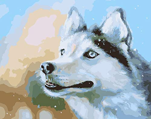 NiceHobby DIY Paint by Numbers for Adults Acrylic Painting Kit on Canvas Animal White Wolf 16x20 inches