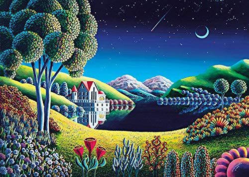 Rocorose 1000 Piece Jigsaw Puzzle  Lal Gece Puzzle for Kids Adult