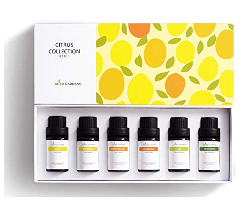 Citrus Essential Oil Set pack of 6 10ml  Pure Therapeutic Grade Fruity Essential Oils includesLemon Grapefruit SweetOrange  Lime  Bergamot and Petitgrain