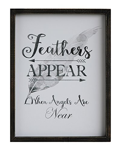 Creative Co-op Wood Framed Feathers Appear Wall Decor