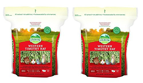 Oxbow Animal Health Western Timothy Hay for Pets  15 Ounce  2 pack of 15